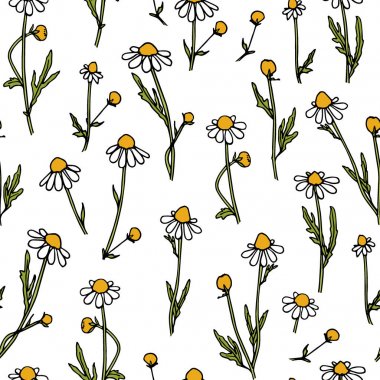 Elle çizilmiş kır çiçeği deseni