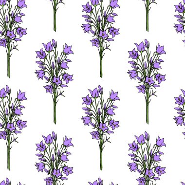 Elle çizilmiş kır çiçeği deseni