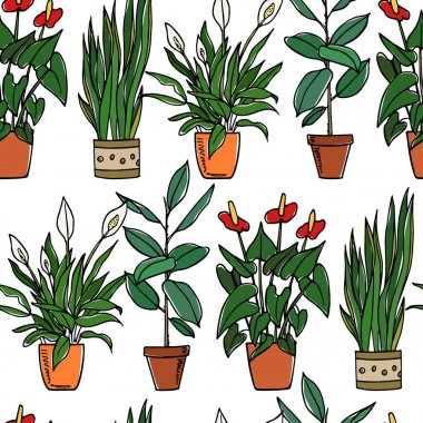 Houseplants seamless modeli