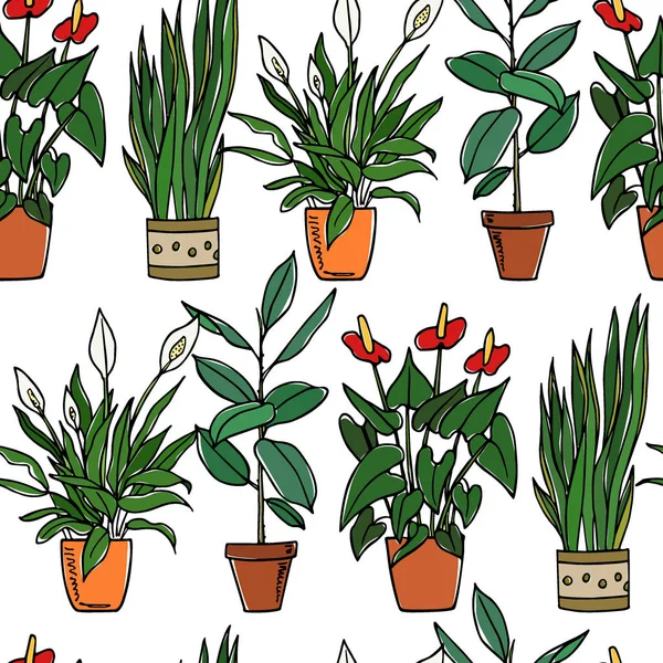 Houseplants seamless pattern — Stock Vector