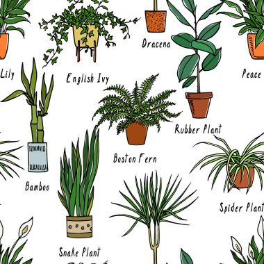 Houseplants seamless modeli