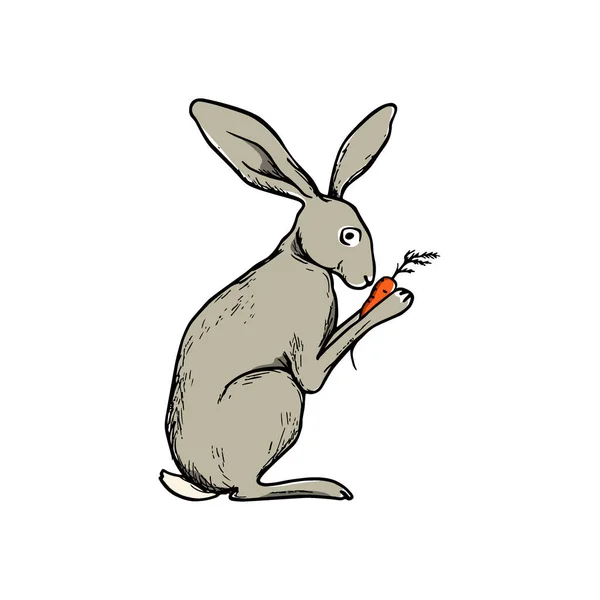 El yapımı tavşan. — Stok Vektör