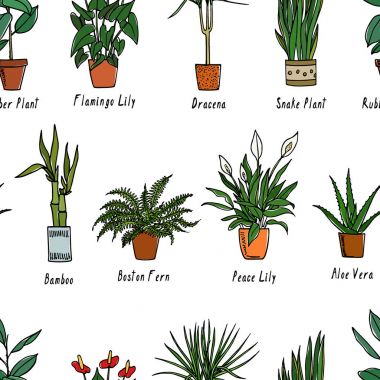 Houseplants seamless modeli