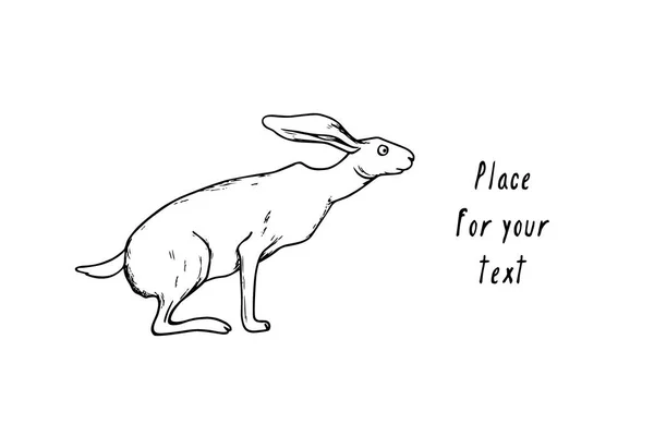 Handritad hare — Stock vektor
