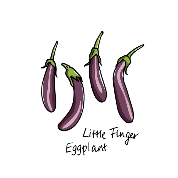 Hand drawn eggplants — Stock Vector