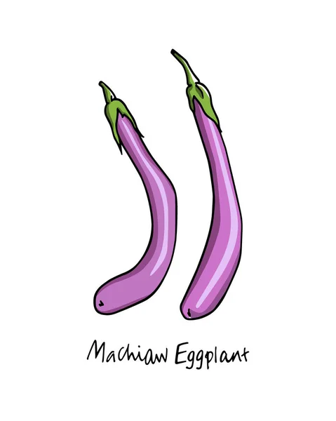 Hand drawn eggplants — Stock Vector