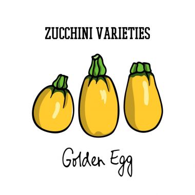 elle çizilmiş kabak