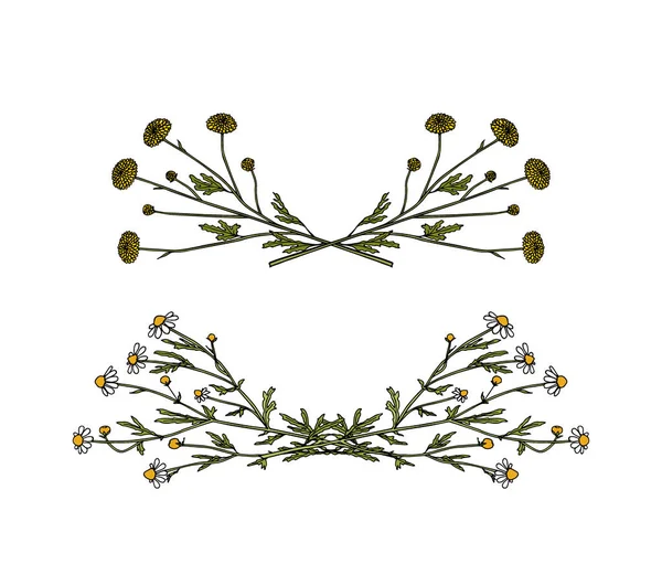 Conjunto de laurel de flor silvestre — Vector de stock