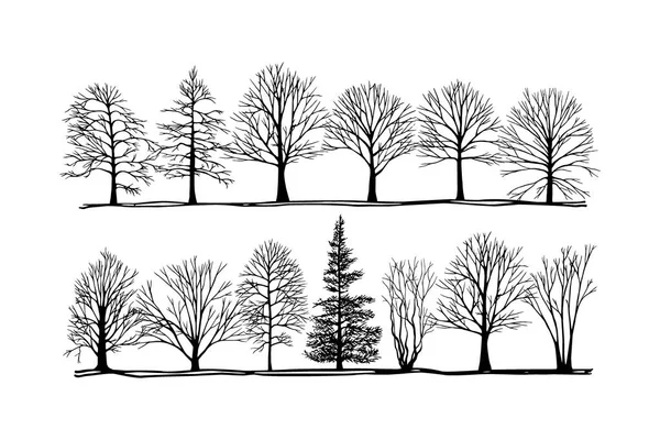 Arbres dessinés à la main — Image vectorielle