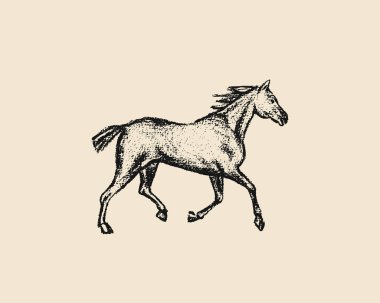 çalışan at el çekilmiş