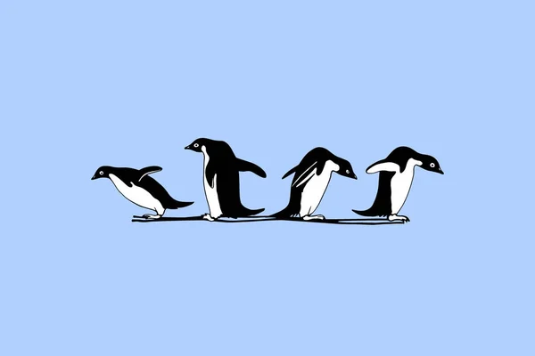 Pinguins desenhados à mão — Vetor de Stock