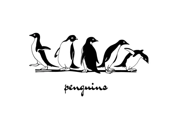 Pinguins desenhados à mão — Vetor de Stock