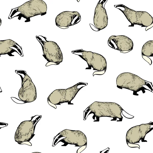 手画的獾模式 — 图库矢量图片