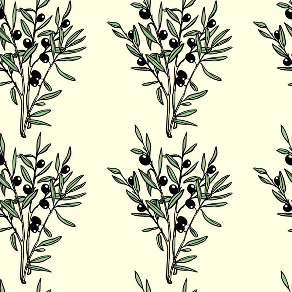 Modèle de branches d'olivier — Image vectorielle