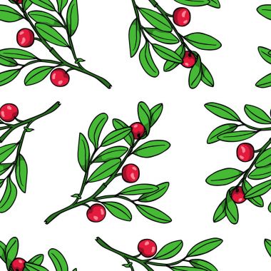 Elle çizilmiş kızılcık desen