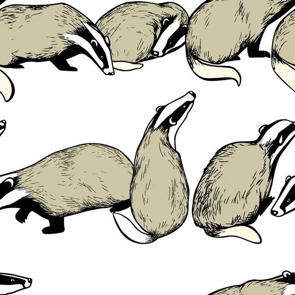 手画的獾模式 — 图库矢量图片