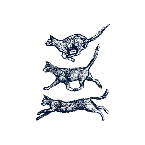 手描き実行中の猫 — ストックベクタ