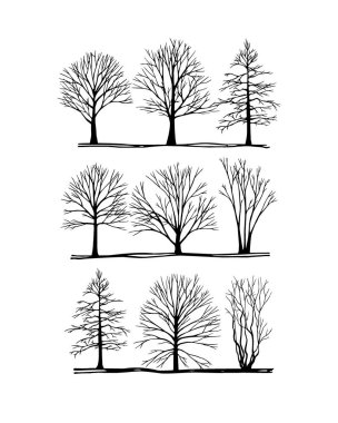 elle çizilmiş kış ağaçlar
