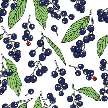 Elle çizilmiş kuş kiraz desen