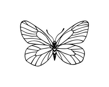 elle çizilmiş kelebek