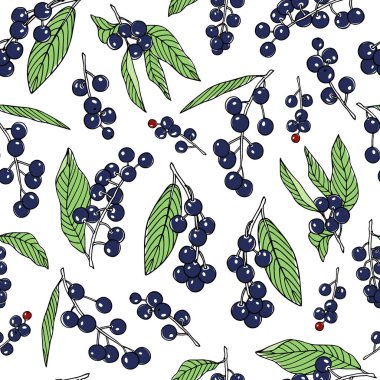 Elle çizilmiş kuş kiraz desen