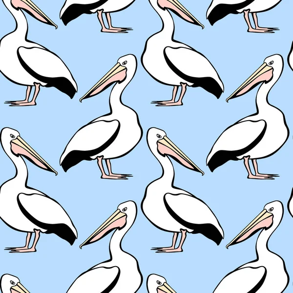 Pelicanos padrão sem costura — Vetor de Stock