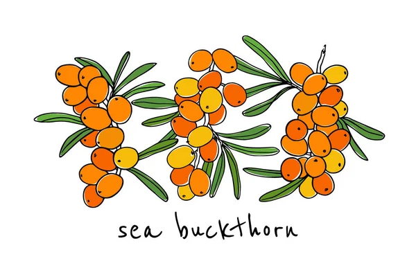 Çizilmiş deniz cehri twigs el