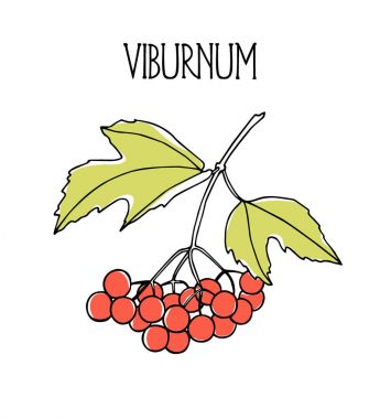 Elle çizilmiş kartopu dal