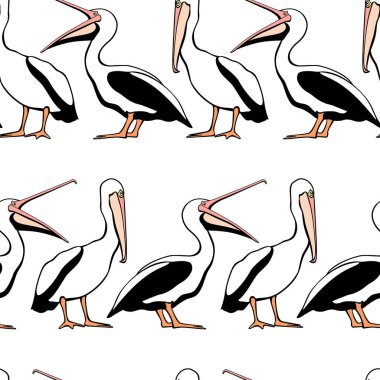 Pelikan seamless modeli