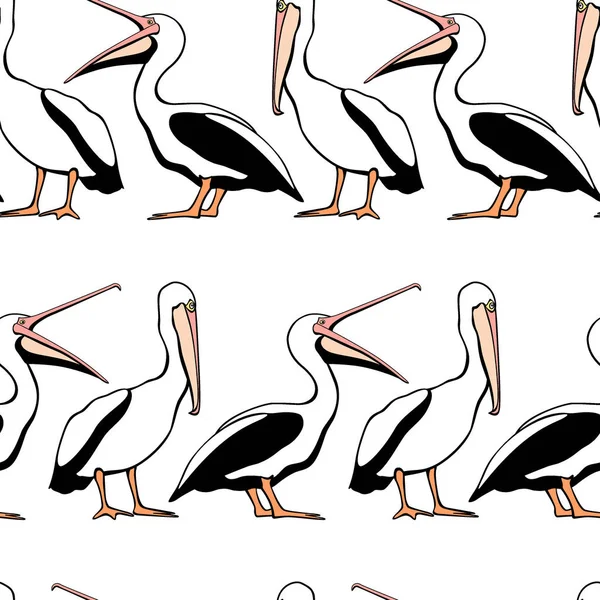 Pelikan seamless modeli