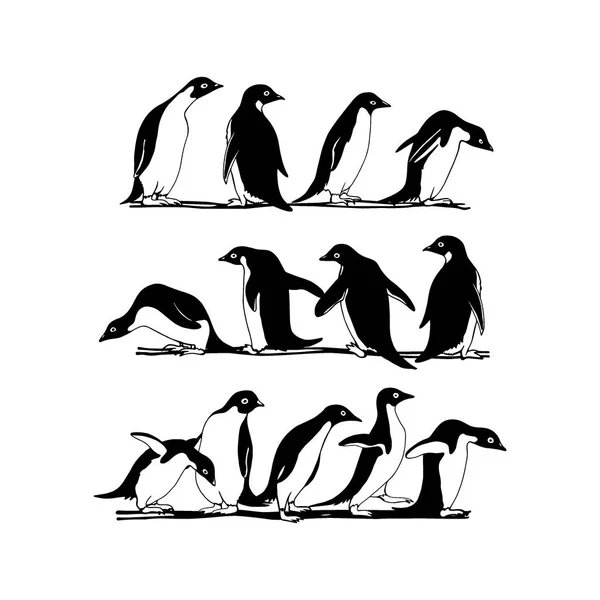 Kézzel rajzolt pingvinek — Stock Vector