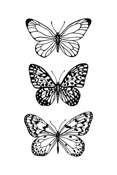 Hand drawn butterflies — Stock Vector