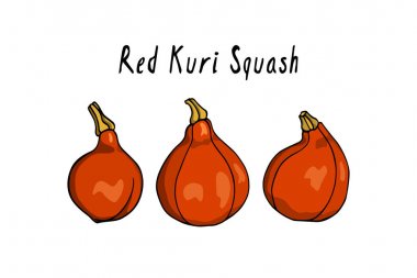 Elle çizilmiş kış kabak