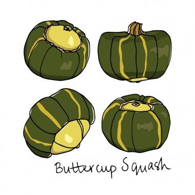 Elle çizilmiş kış kabak