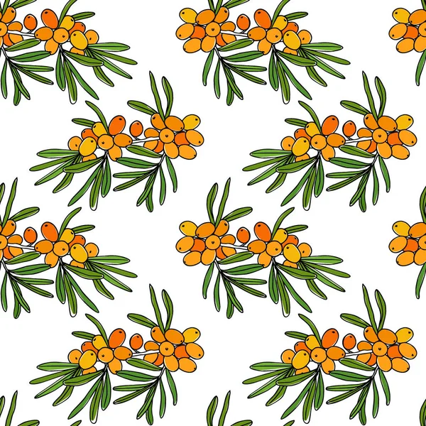 Hand drawn sea buckthorn pattern