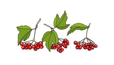 Çizilmiş kartopu twigs el