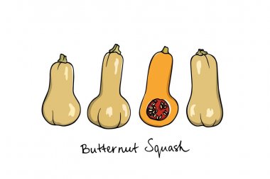 Elle çizilmiş kış kabak