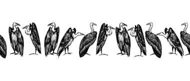 Hand drawn vultures pattern clipart