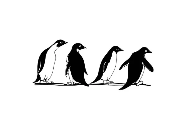 Handgezeichnete Pinguine — Stockvektor