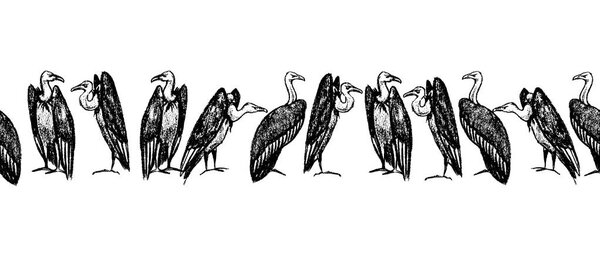 Ручной рисунок грифов
