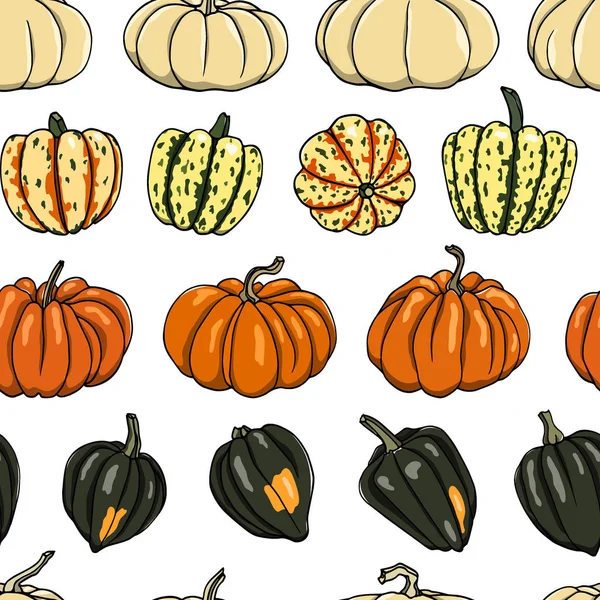 Modello di zucca invernale disegnato a mano — Vettoriale Stock