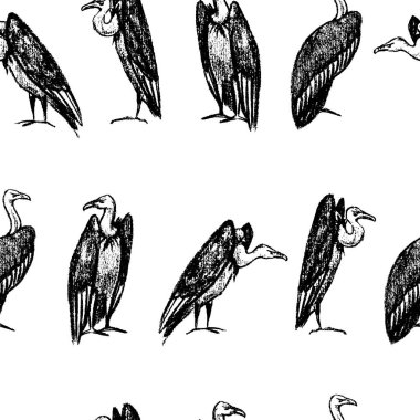 Elle çizilmiş akbabalar desen