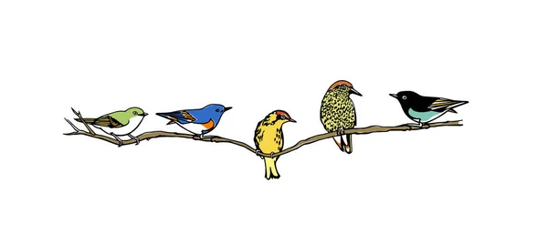 手画的鸟 — 图库矢量图片