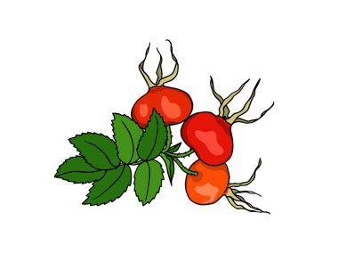 Elle çizilmiş köpek gül