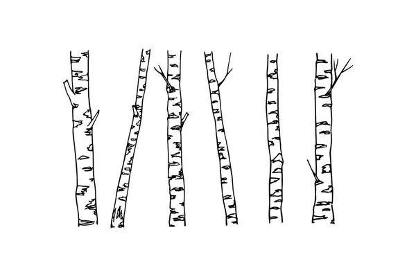 Troncos de bétula desenhados à mão —  Vetores de Stock