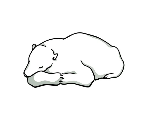 Vector card with hand drawn polar bear — Stock Vector