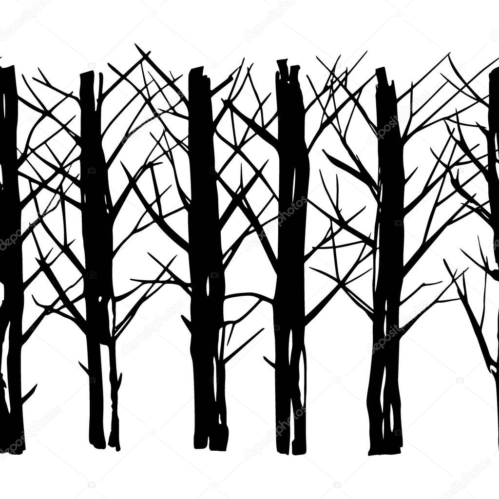 Winter forest pattern