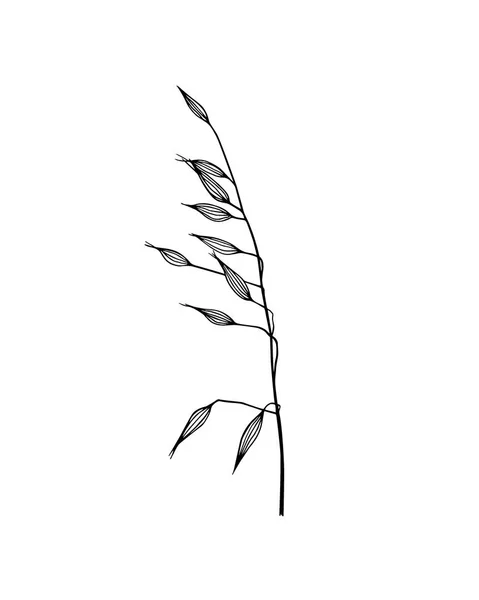 Ręcznie rysowane łąka trawa — Wektor stockowy