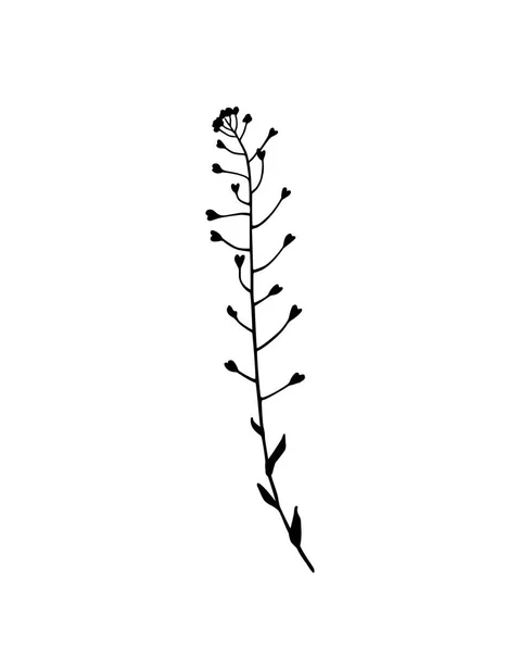 Prato disegnato a mano erba — Vettoriale Stock