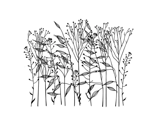 Hand drawn meadow grass — Stock Vector